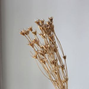 Bouquet de fleurs de Limonium préservées à prix avantageux dans une boîte en acrylique - Product Image 1