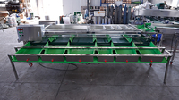 Elektronische Fruitsorteermachine Voor Pruimen-Formaat-Machine Met Kleine Fruitsorteermachine