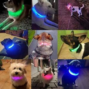 Tali anjing LED nilon dapat disesuaikan, USB isi ulang keselamatan malam berkedip dalam gelap tali anjing bercahaya neon kerah anjing peliharaan - Product Image 4