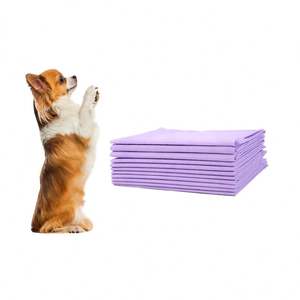 2025 Top Seller Eco-Friendly Waterproof Wood <b>Dog</b> Training <b>Pads</b> Pet Supplies for <b>Dogs</b> - Product Image 1