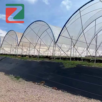 Abri de pluie durable en forme de Y pour la protection des petits fruits, des baies, des légumes et des plantes de jardin