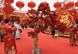高品質の室内用ポドカルパス盆栽、庭の装飾品、松の木、高さ2mの生きた人工松の木 - Product Image 4