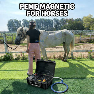 Profesyonel Evcil Hayvan Sağlığı Pemf Terapi Cihazı Köpek Vücut Bakımı Kedi Sağlığı Darbeli Elektromanyetik Alan Terapi Ekipmanı - Product Image 1