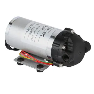 DP-60-220v 40W Geborsteld Dc Elektrische Diafragma Waterpomp Landbouw Spray Drone/Carwash Applicatie