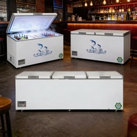 Congélateur horizontal à température unique pour la maison, 150l, 200l, 250l, 350l