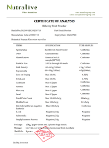 Grosir bubuk buah Bilberry Eropa pabrikan ISO - Product Image 2