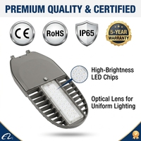 Brücken-LED-Straßenleuchte 50W 100W Vibrationsbeständiges Aluminium IP66 Hohe Windlast Typ III Verteilung CE Großhandel