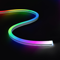 Lampu Tali LED Tahan Air IP67 dengan Kontrol Remote/Aplikasi, Sinkronisasi Musik, Warna-warni, Fleksibel, Lampu Strip LED Neon