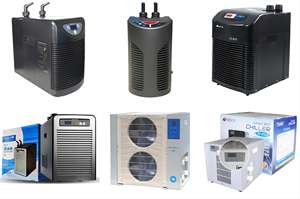 Commerciële Chiller Zoet <span class=keywords><strong>Water</strong></span> Zeegras Vissentank Waterkoeling Temperatuur Controle Apparatuur <span class=keywords><strong>Aquarium</strong></span> <span class=keywords><strong>Water</strong></span> Chiller - Product Image 6