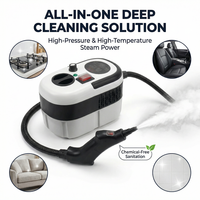 Nettoyeur Vapeur Haute Pression Portable 2500W, Défroisseur Électrique à Main avec Réservoir d'Eau 1.2L, 110V/220V, Cinq Niveaux de Température