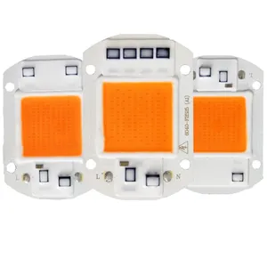 智能 IC 大功率 LED 矩阵投影机 20W 30W 50W 110V 220V DIY 洪水光 COB LED 二极管聚光灯室外芯片灯