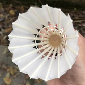 Volantes de entrenamiento de bádminton para interiores, pluma de ganso, precio barato, Exportación de Corea del Sur, buena calidad - Product Image 6