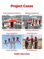 Isolateur anti-oiseaux pour ligne de transmission aérienne, déflecteur de protection en plastique isolé, taille personnalisée, fourni par l'usine