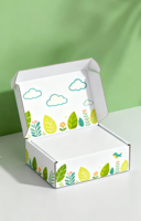 Vente en gros de boîtes postales personnalisables imprimées avec logo d'abonnement Boîtes d'emballage cadeau en papier carton écologiques personnalisées