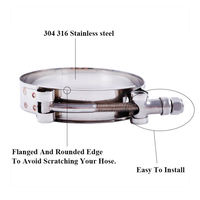 SAE J1508 Compatible 304 Acier Inoxydable T-Bolt Collier de serrage à ressort constant Matériau métallique