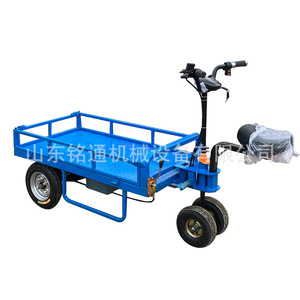 Triciclo Eléctrico de Plataforma Plana con Capacidad de Carga de 200-300 kg para Transporte Doméstico - Product Image 2