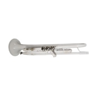 SEASOUND Professional White Trumpet JYTR409WH BB Tone with Gold Lacquer Surface OEM Brass Body Trompeta