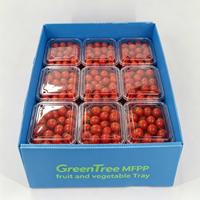 Groothandel voedselveilige fruit- en groentebak, herbruikbare gegolfde kunststof bak voor bessen, vis, verse producten export