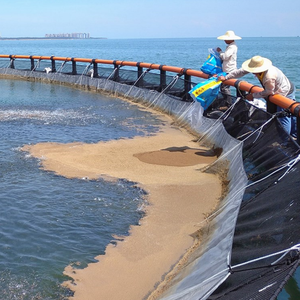 Gabbia di pesca Hdpe galleggiante gabbia di allevamento di pesci in mare profondo per acquacoltura del lago di Turkana Nile pesce persico costi delle gabbie di allevamento - Product Image 6