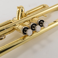 Professional Trumpet Musical Instrument Brass B Flat Electrophoresis Gold 3 Tone Trumpet for Beginner