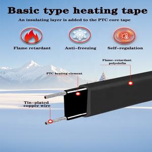 Cable Calefactor Autolimitante de 20W 35W 40W 220V para Exteriores, Anticongelante para Tuberías, Eliminación de Nieve en Techos, Descongelación de Canaletas - Product Image 2