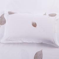 Drap de lit brossé en microfibre imprimé personnalisé de haute qualité Ensemble de literie