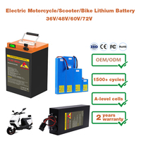 Lithium Ion Battery 72V 30Ah 40Ah 35Ah 45Ah 50Ah 60V 60Ah 100Ah for Electric Motorcycle Moped Electric Bicycle