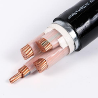 Cable de Alimentación VAV 4x16mm2 con Conductor de Cobre, Aislamiento de PVC y Armadura de PVC