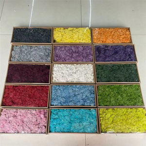 गर्म बिक्री रंगीन रेहिरण मॉस ने परिदृश्य दीवार फर्श डिकोड के लिए घास सफेद काले नीले स्थिर मॉस को संरक्षित किया - Product Image 2