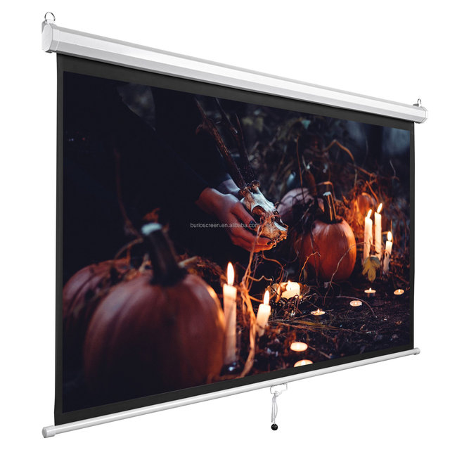 Wall Mounted Projector Screen Matte White Manual Pull Down Projection Screens with Self-lock System