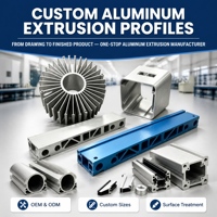 Module de batterie au lithium, plaque d'extrémité, pack de batteries, extrusion d'aluminium, micro-canaux, refroidissement liquide, plaques froides