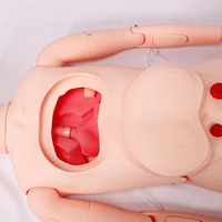 Mannequins humains pour soins aux adultes, modèles masculins et féminins avec fonction de mesure de la pression artérielle, mannequins d'entraînement aux compétences de soins CE/ISO