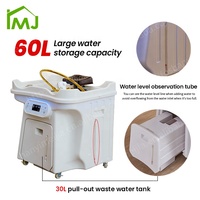 Bac de Lavage de Cheveux Mobile pour Salon avec Tête de Soin, Appareil à Vapeur SPA, Lavabo Portable