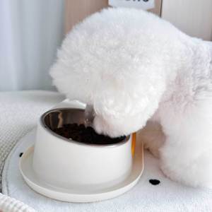 Bol double pour animaux de compagnie Daoge en acier inoxydable anti-déversement, pour l'alimentation et l'abreuvement des chats et des chiens, design incliné, matériau PP - Product Image 2