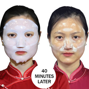 قناع كوري عميق مضاد للشيخوخة بالكولاجين للاستخدام الليلي، قناع ورقي نباتي مع الريتينول وحمض الهيالورونيك وفيتامين سي والأعشاب للوجه - Product Image 1