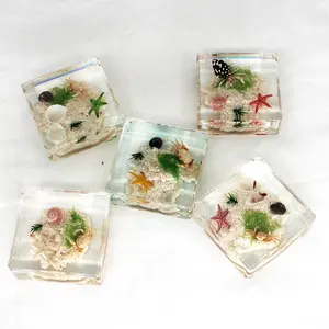 Nature Ocean Animal Hermit Crab Garden Scenery Sea Shell Crafts Wedding Souvenir Specimen In Resin