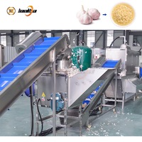Machine industrielle de traitement de la purée de gingembre et d'ail, ligne de production de pâte d'ail broyée