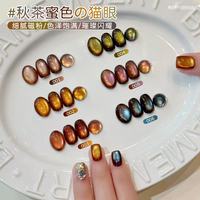 Kit de vernis gel magnétique effet œil de chat, série Chameleon Shimmer Silk Moonlight Earth Brown, pour la décoration des ongles