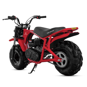 Tao Motor 2023 New Design Kids Petrol Mini Dirt <b>Bike</b> 200cc Mini <b>Bike</b> - Product Image 3