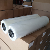 Grosir PET Film 60Cm 30Cm A3 A4 untuk DTF Pencetakan Kain DTF I3200 DTF XP600