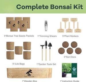 Kit de Bonsái para <span class=keywords><strong>Principiantes</strong></span>, Bonsáis Únicos para Adultos, Kit Completo de Plantas de Interior, Regalo Ideal de Jardinería para Mujeres y Hombres - Product Image 3