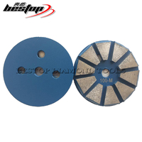 Disques de meulage diamant de 3 pouces 10 Segs pour béton