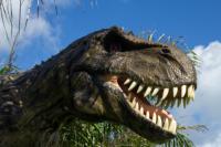 Modèle de dinosaure animatronique réaliste en métal sur mesure OEM Zigong pour usage public intérieur/extérieur, centre commercial, maison, parc d'attractions