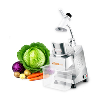 Coupe-légumes et fruits multifonctionnel motorisé en acier inoxydable, hachoir à oignons, mandoline, râpe, trancheuse à pommes de terre 220/110V