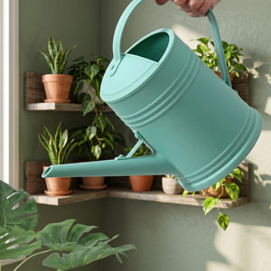 Regadera Moderna de Hierro Galvanizado con Rociador de Rosas Extraíble, Fabricante de Rociadores de Flores Metálicos - Product Image 1