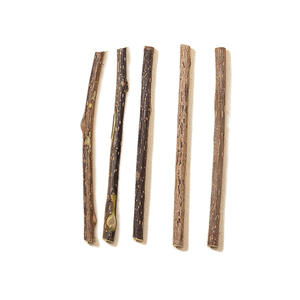 Japanische Bio-Katzenminze Pulver Haustier Molar Spielzeug getrocknet Actinidia Polygama Matatabi Sticks Silver vine Stick Cat Snacks aus Holz - Product Image 2