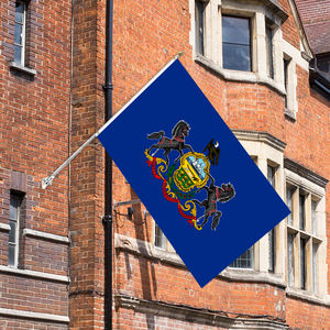 专业抗褪色联邦国旗人造丝CMYK抗褪色宾夕法尼亚州国旗 - Product Image 5