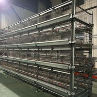 Prix d'usine : Cages à poulets de chair automatisées avec système d'alimentation et de récupération des déjections par grille coulissante, à vendre