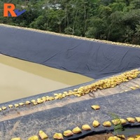 Géomembrane HDPE de 0,3 mm à 3 mm, HDPE LDPE LLDPE PVC EPDM, revêtement pour bassin à poissons, revêtement pour barrage en Afrique du Sud