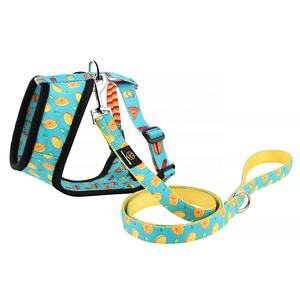 Hot Sale Hochwertige <span class=keywords><strong>Sublimation</strong></span> muster Hunde geschirr Verstellbares Halsband Leinen geschirr und Bandana Set - Product Image 3